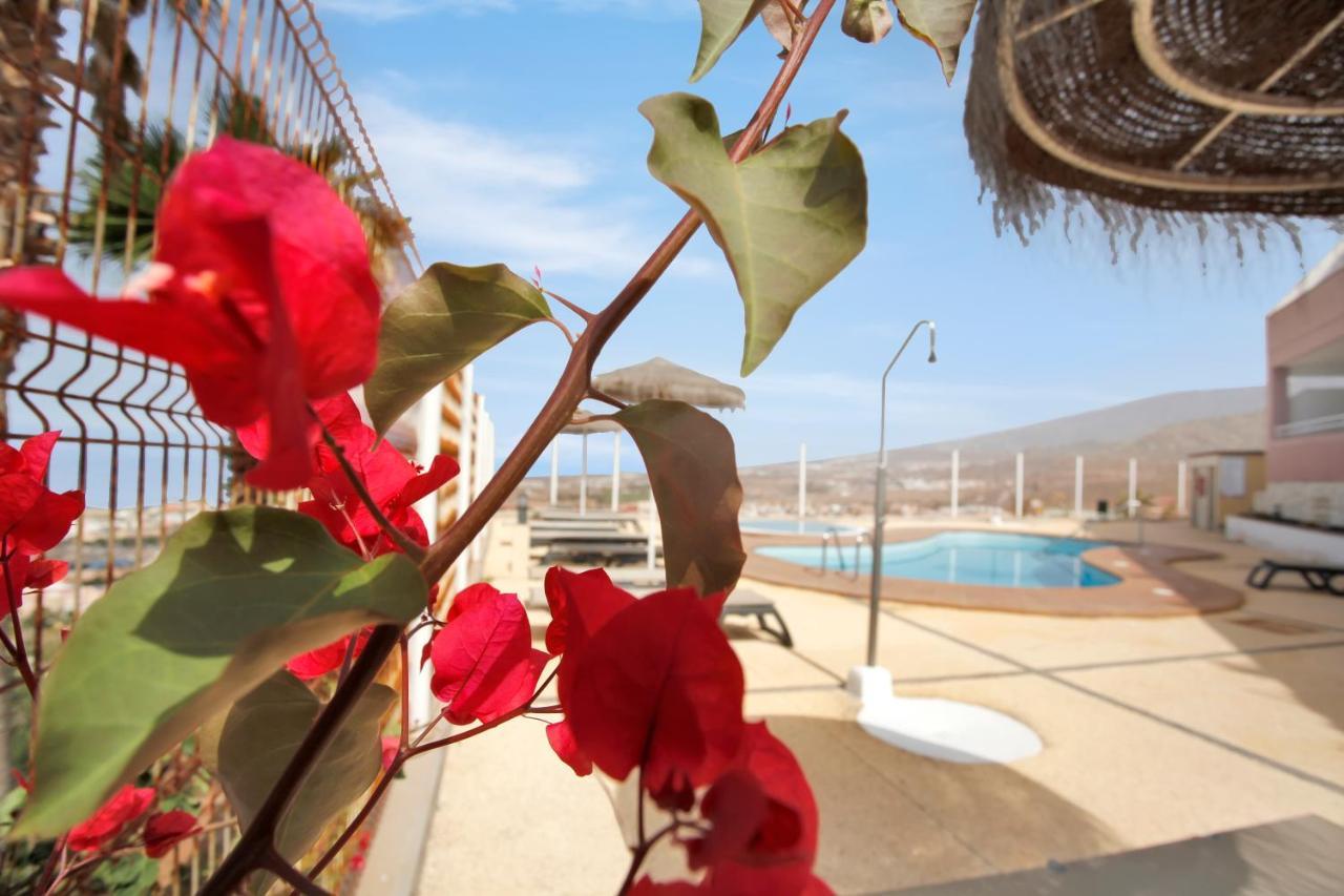 Luxury Penthouse, Best Sunset, Heated Pool, Fast Wifi 阿德耶 外观 照片